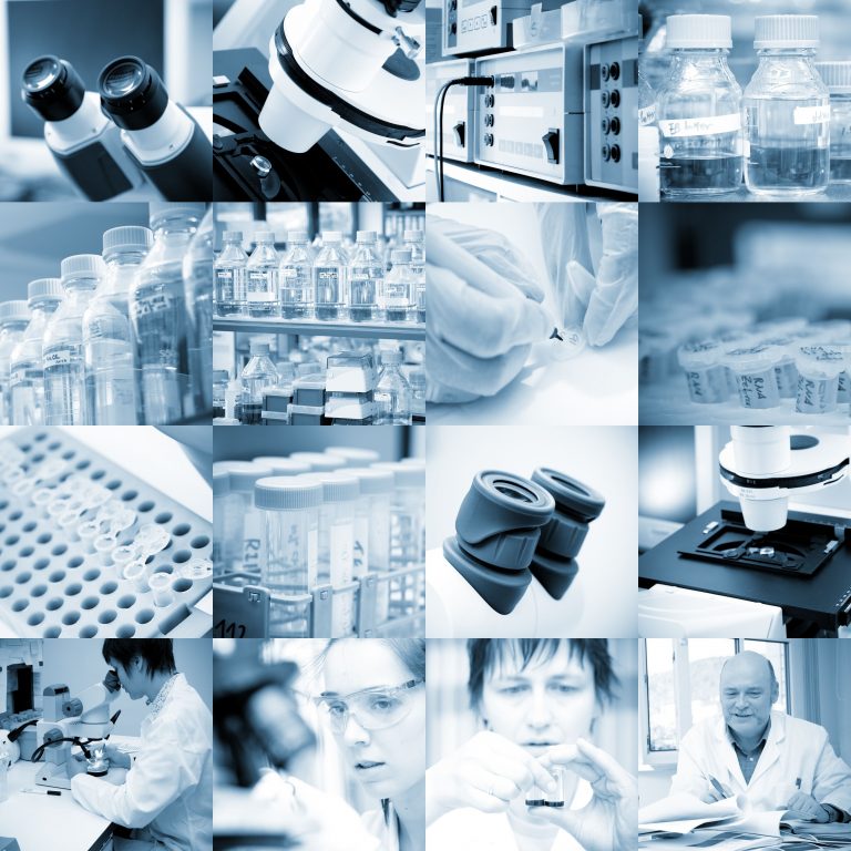 The Benefits of Product Development in the Chemical Industry